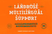Landrose – Caligraphic Display Serif, a Serif Font by Drizy (Thumbnail 6 of 10)