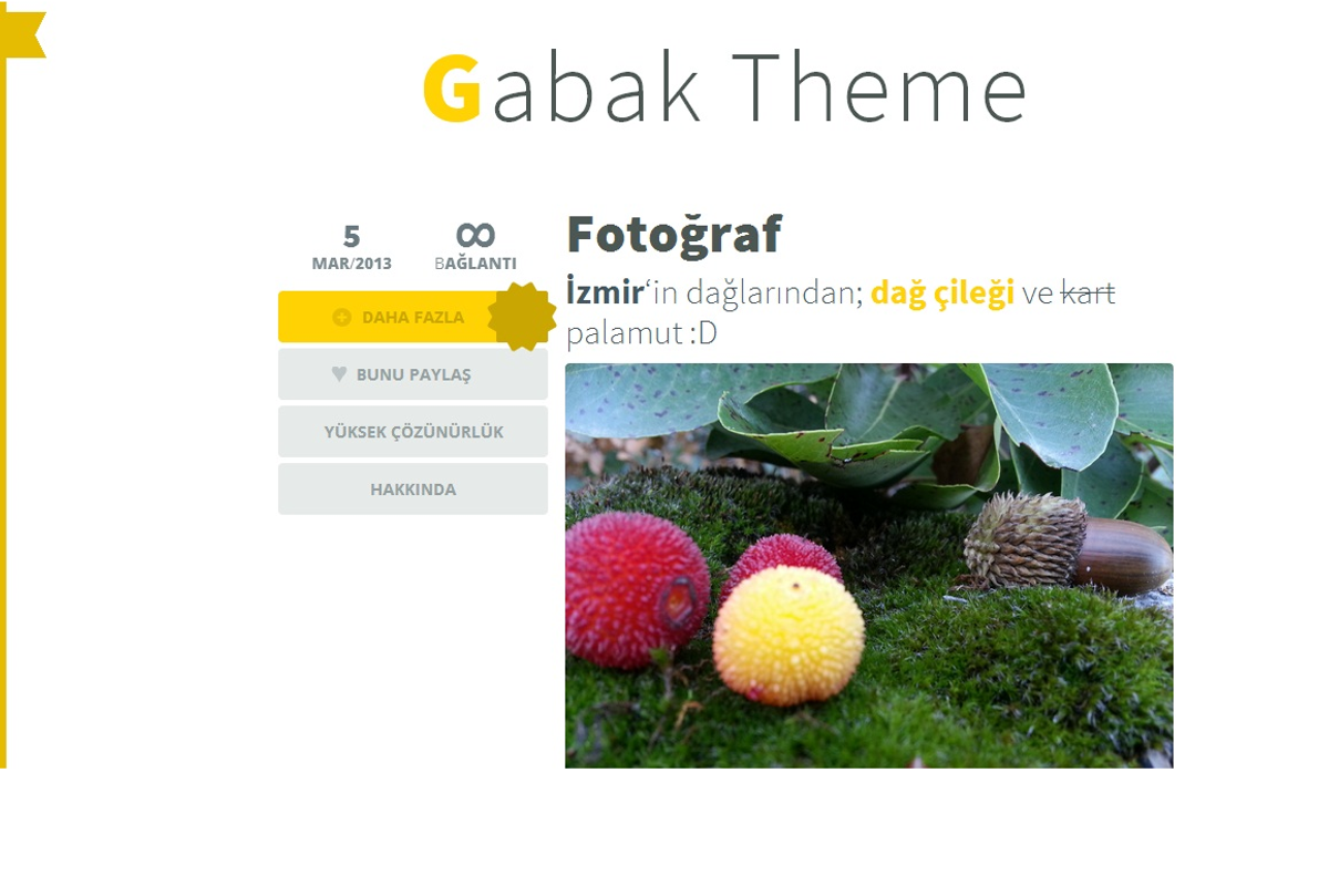 Gabak - Responsive Tumblr Theme, a Websites & App Template by mselmany (Photo 3 of 5)