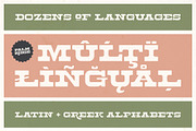 Palm Ridge Midcentury Southwest Font, a Serif Font by Molly Suber Thorpe (Thumbnail 7 of 15)