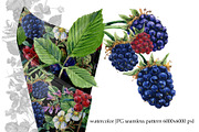 Watercolor Forest berryes, a Food Illustration by FineArt (Thumbnail 8 of 8)