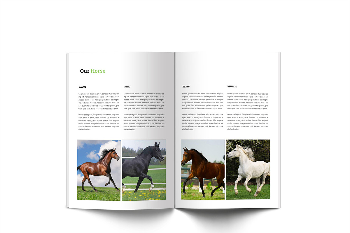 Horse Riding A4 Brochure, a Brochure Template by Incools Stokie (Photo 7 of 13)