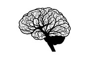 Brain Tree Knowledge Design Bundle, an Illustration by Gaye Art (Thumbnail 2 of 31)