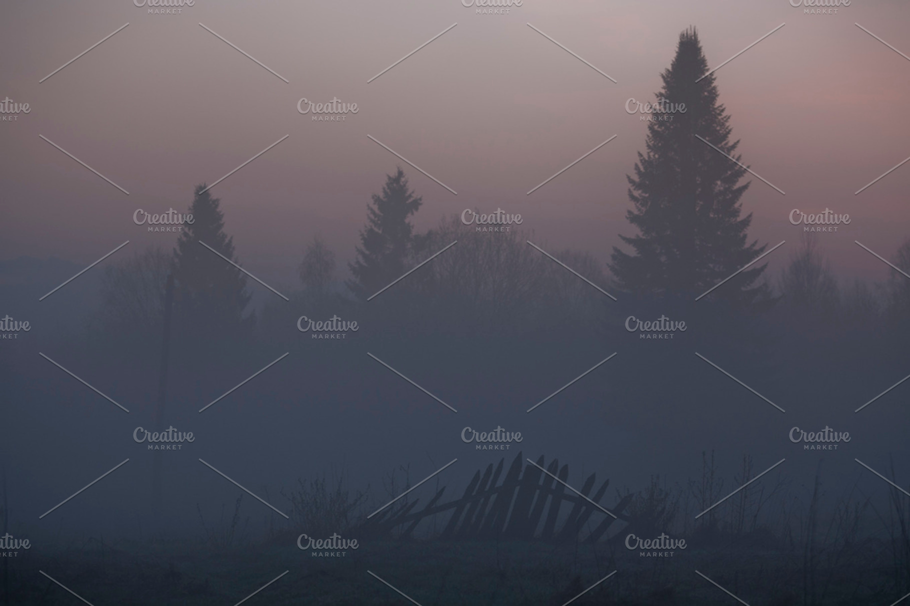 Night forest featuring evening, fence, and broken