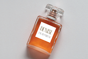 Bonheur Serif, a Serif Font by EW Type Foundry (Thumbnail 10 of 10)
