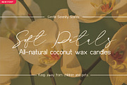 Dajestica Betamoora, a Script Font by JNJ Studio (Thumbnail 3 of 9)