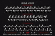 Dark Ritual Typeface, a Blackletter Font by alit design (Thumbnail 12 of 20)