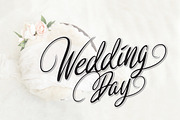 Rosedita Script, a Script Font by cove703 (Thumbnail 9 of 12)