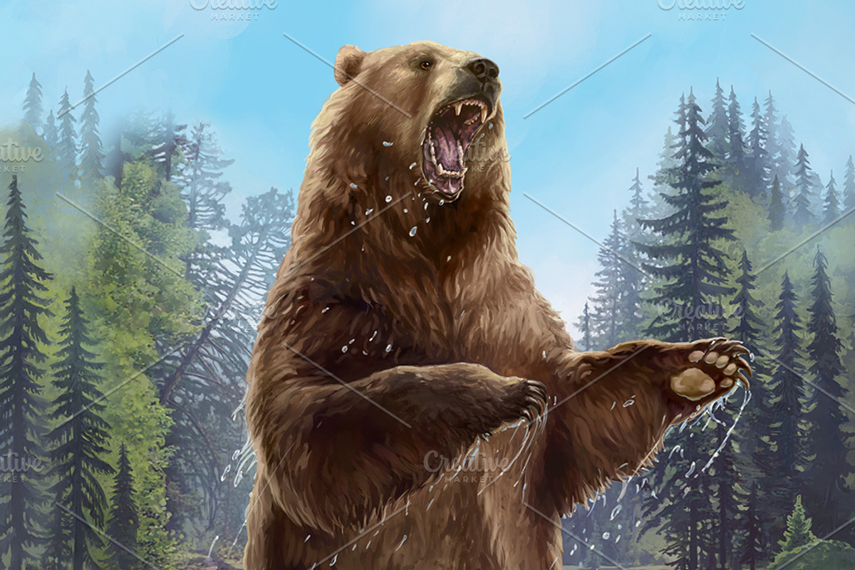 Aggressive bear, an Animal Illustration by Countryside life (Photo 4 of 5)