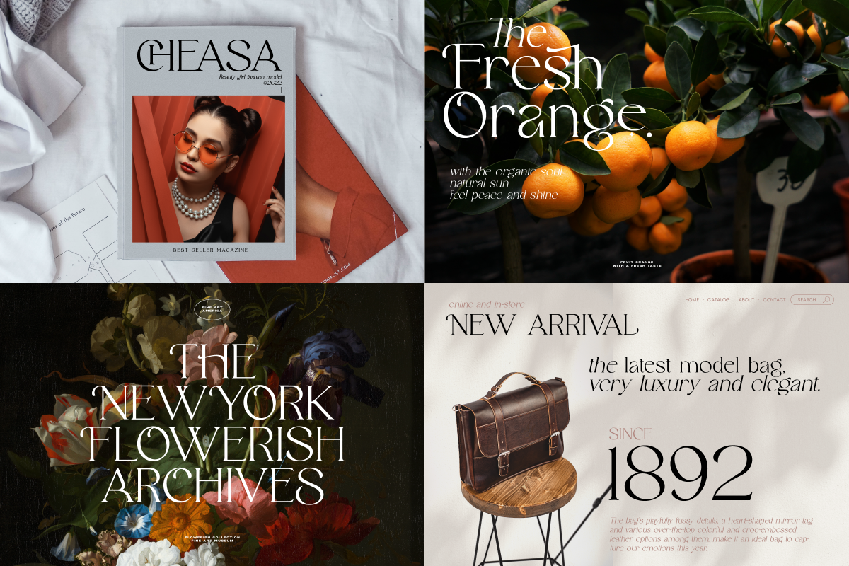 Modern Luxury Serif Font Bundle Vol1, a Serif Font by Ronny Studio (Photo 8 of 9)