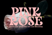 Mayo Age - Modern Vintage Serif Font, a Serif Font by Airotype (Thumbnail 2 of 13)