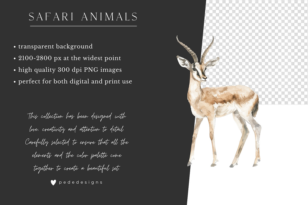 Safari Story, an Animal Illustration by PeDe Designs (Photo 15 of 15)