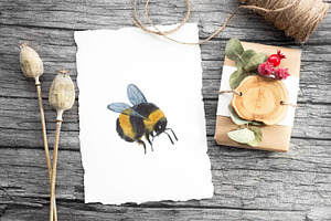 Bee Clipart Watercolor Insect Art