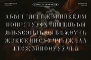 Romile, a Serif Font by Nathatype (Thumbnail 12 of 12)