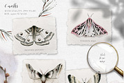 Mavra. Watercolor graphic set, a Decorative Illustration by Bibela (Thumbnail 2 of 14)