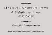 Platespinner Script, a Script Font by Beck McCormick (Thumbnail 10 of 10)