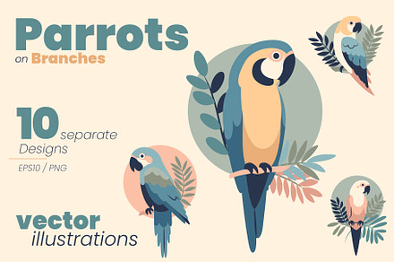 Tropical Parrots - Flat Bird Designs