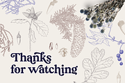 Elegant Pine Vintage Vector Set, a Decorative Illustration by Beauty Drops (Thumbnail 9 of 9)