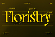 VERONA - Vintage Classic Serif, a Serif Font by The_Type (Thumbnail 11 of 12)