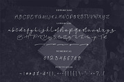 Fanita Pricia - Elegant Script Font, a Script Font by NTC Graphic (Thumbnail 8 of 9)
