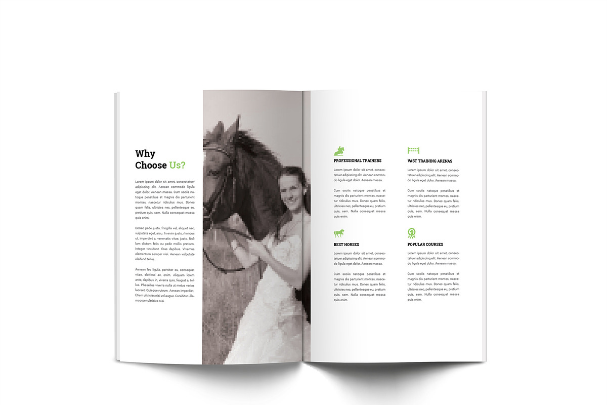 Horse Riding A4 Brochure, a Brochure Template by Incools Stokie (Photo 3 of 13)