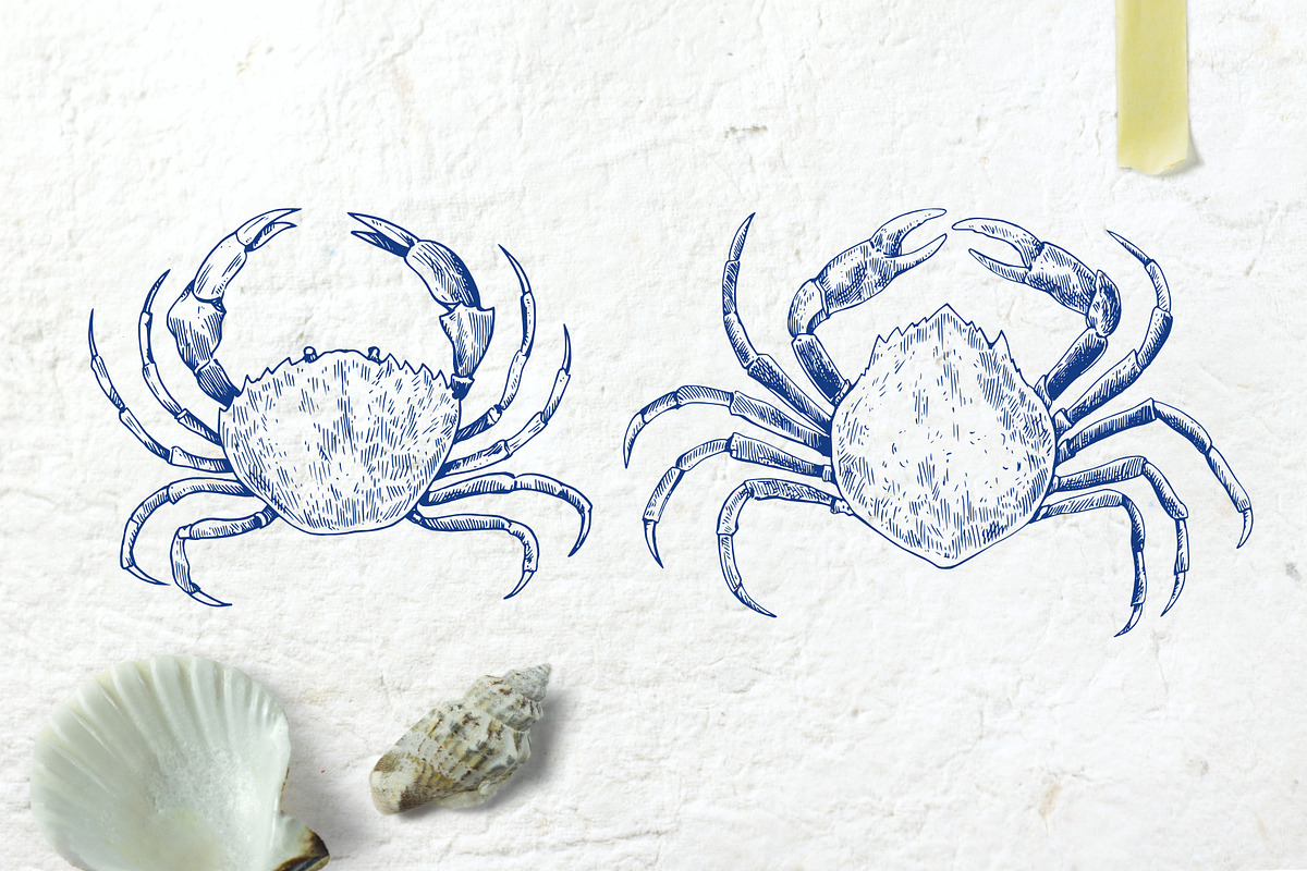 Coral gardens. Patterns collection, a Pattern Graphic by Robusta (Photo 14 of 16)
