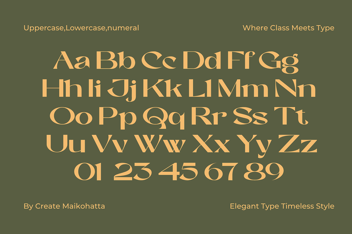 Baner - Sans Luxury Typeface, a Sans Serif Font by MaikoHatta (Photo 6 of 8)