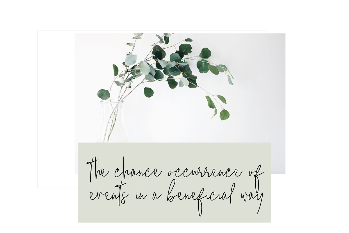 Serendipity Font - Chic Script preview 7