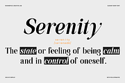 Hecate Display Modern Editorial Font, a Serif Font by roomspace creative lab (Thumbnail 4 of 14)