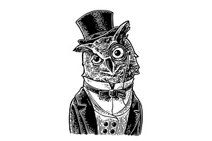 Owl gentlemen dressed  engrave, an Illustration by MoreVector