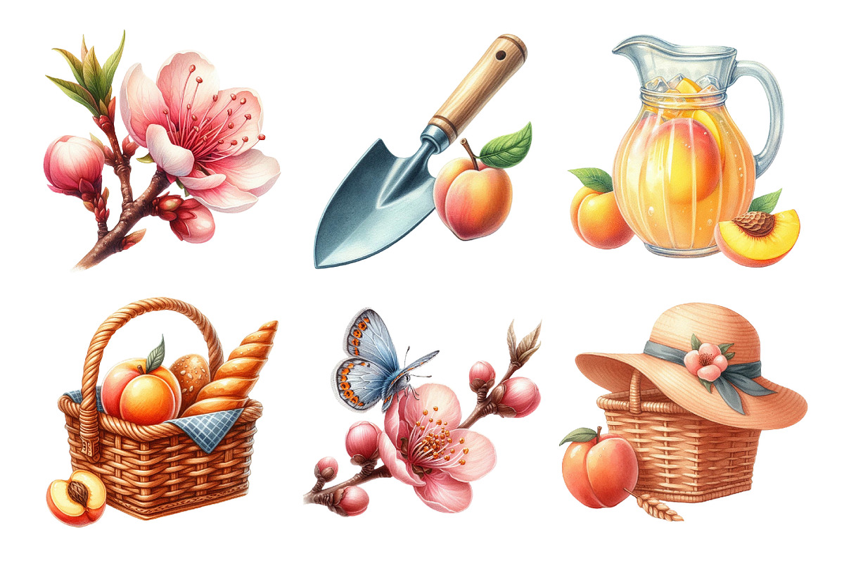 Peach Garden Watercolor Clipart, an Illustration by Daily.Designs (Photo 3 of 5)