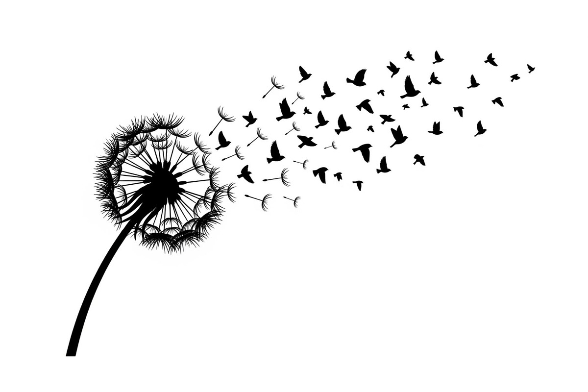 Dandelion Blow Silhouette Bundle, an Illustration by yasushie (Photo 11 of 31)