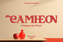 Camheon - Bold Display Serif Font