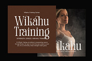 Sakira Elegant Serif Font Typeface, a Serif Font by Graphicxell (Thumbnail 2 of 8)
