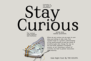 Gala Night: Elegant Minimal Serif, a Serif Font by The Gelato Type (Thumbnail 7 of 10)