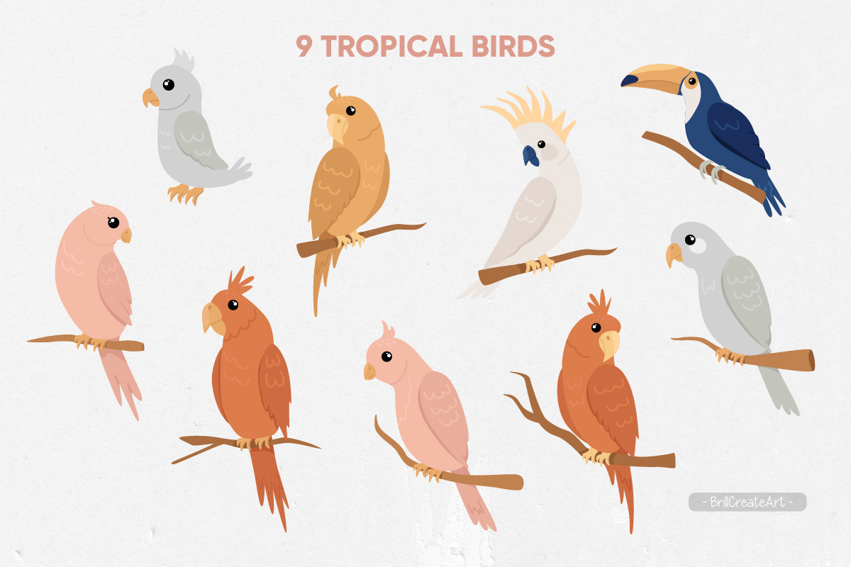Tropical birds, flower & leaves, an Illustration by BrillCreateArt (Photo 2 of 5)