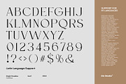 Brighter Paradise, a Serif Font by din-studio.com (Thumbnail 10 of 15)