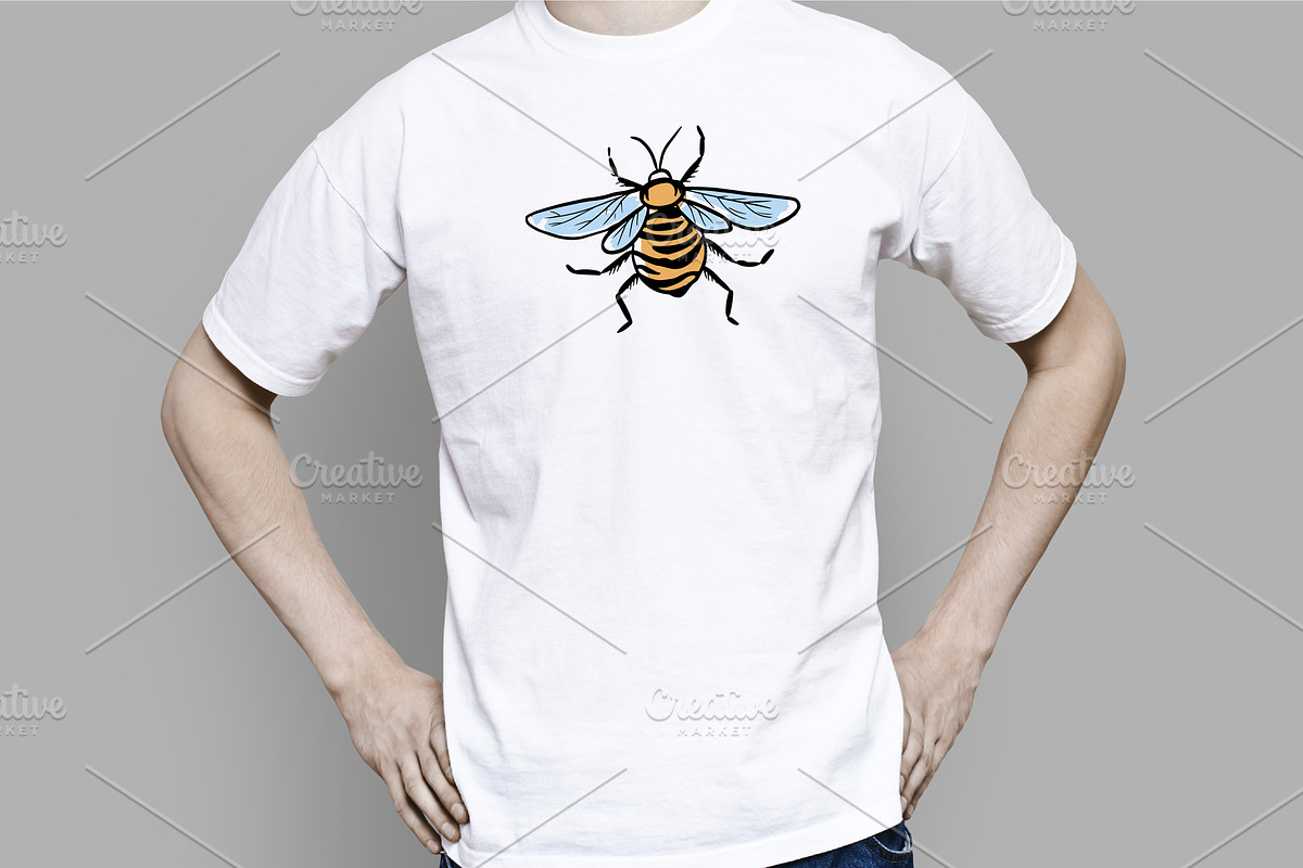 Set of insects, an Animal Illustration by IPVector (Photo 3 of 6)