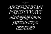 The Kingsy Serif (09 fonts), a Serif Font by Positive TypeFoundry (Thumbnail 17 of 17)