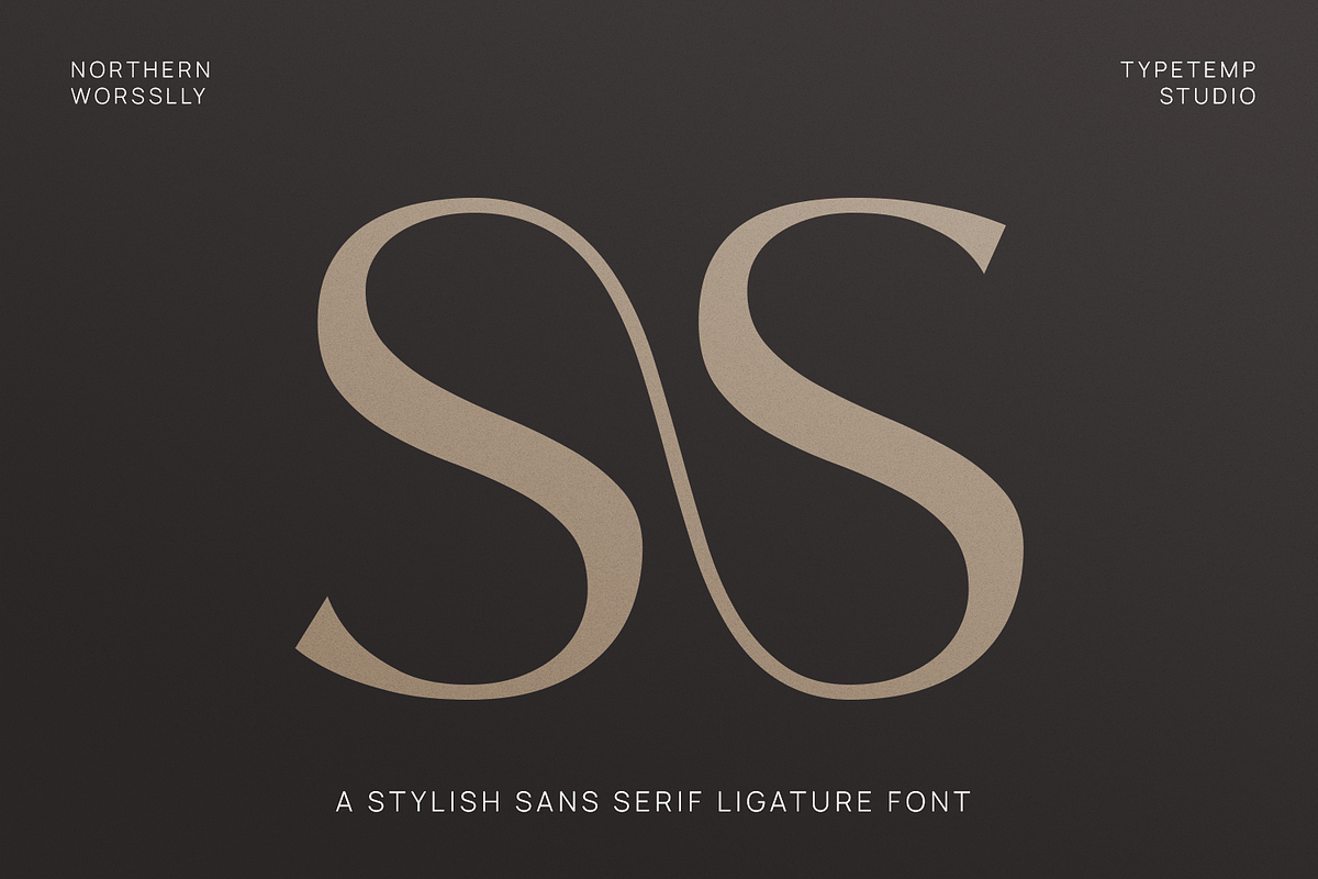Northern Worssley - Ligature Sans, a Sans Serif Font by Typetemp Studio (Photo 6 of 17)