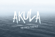 Akula- Dry Brush Font, a Script Font by Anna Ivanir (Thumbnail 1 of 5)