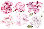 Watercolor Wedding Tender Flowers, an Object Graphic by Knopazyzy (Thumbnail 2 of 17)
