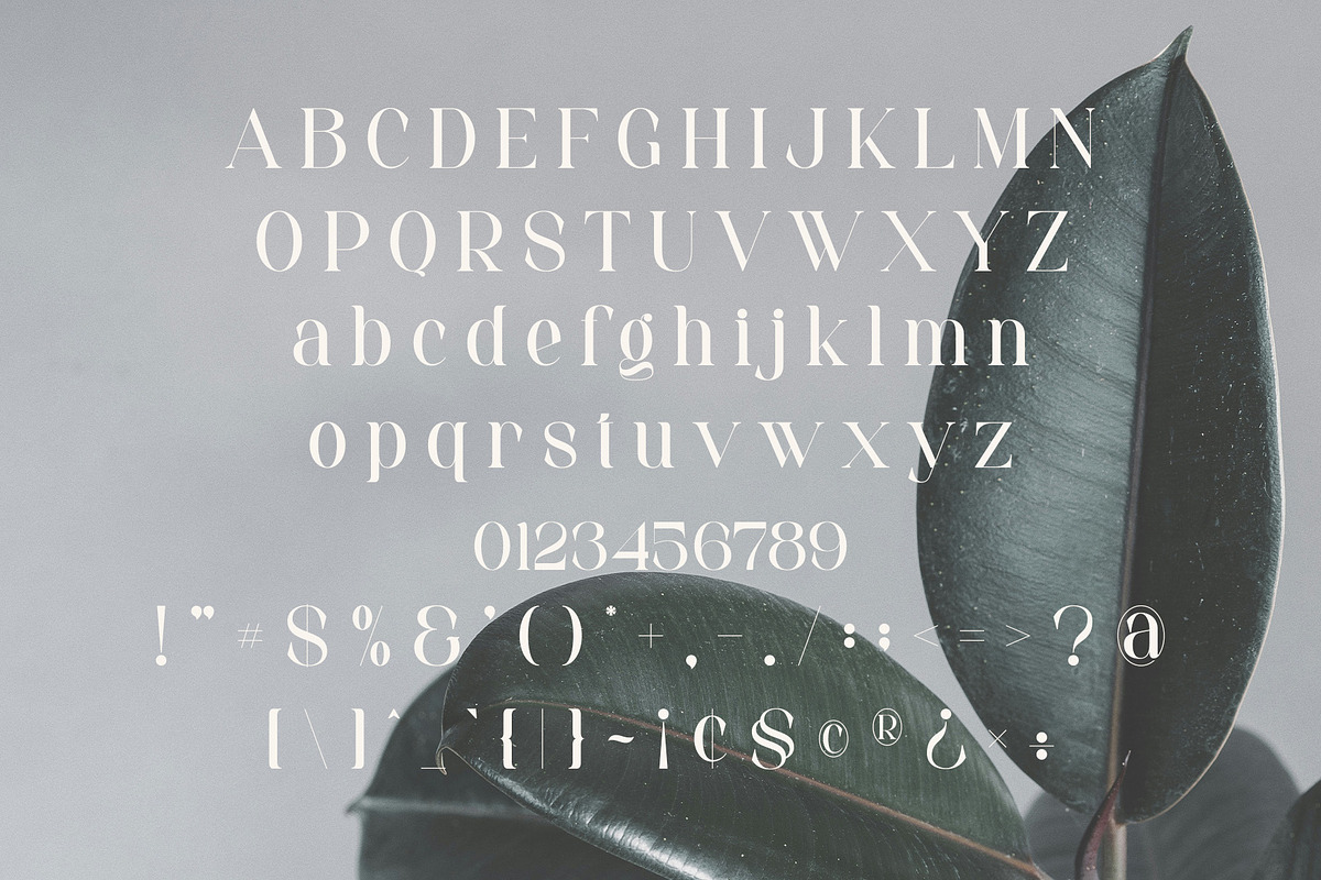 Seroja - Elegant Serif Font, a Serif Font by Aqeel_Art (Photo 10 of 12)