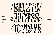 TAN - LIEBE, a Font by TanType (Thumbnail 12 of 12)