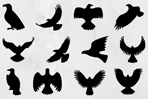 Eagle Silhouette SVG, an Animal Illustration by newminddesign