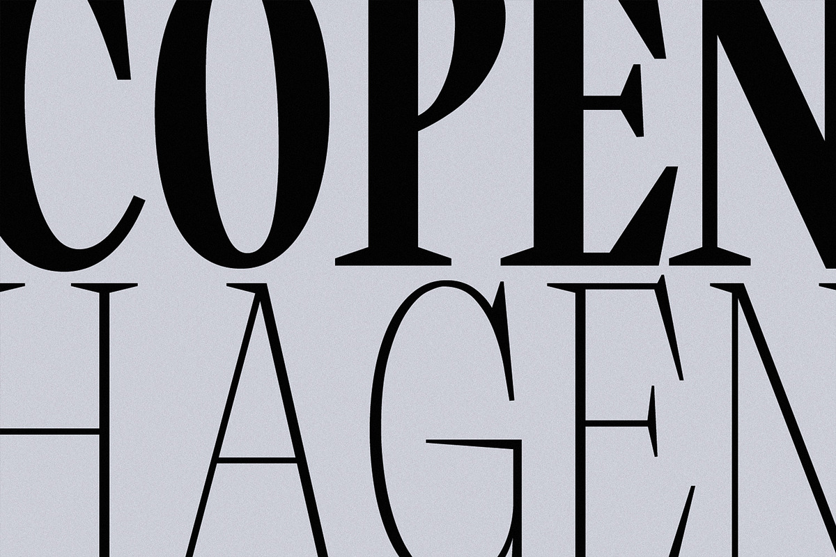 Miroje - Variable Typeface, a Serif Font by Issam Type (Photo 12 of 15)