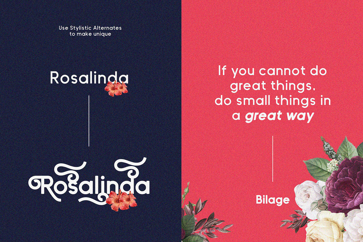 Bilage, a Sans Serif Font by 160 Studio (Photo 11 of 15)