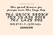 Millane Modern Script Font, a Script Font by Basnistudio (Thumbnail 2 of 12)