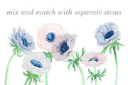 Watercolor Anemones, an Illustration by Instinct Design Co (Thumbnail 3 of 3)