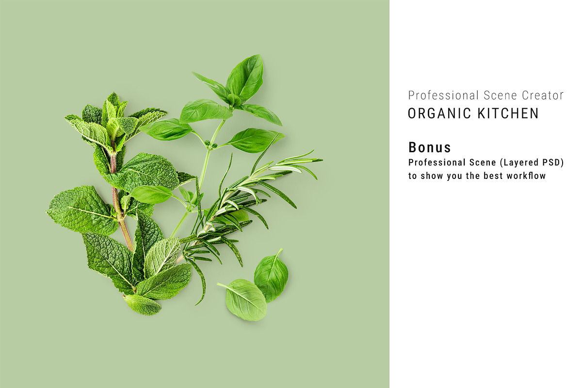 Organic Kitchen. Scene Creator, an Object Graphic by ifiStudio (Photo 6 of 6)