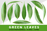 10 glossy leaves, an Object Graphic by Fruits+Veggies (Thumbnail 1 of 4)